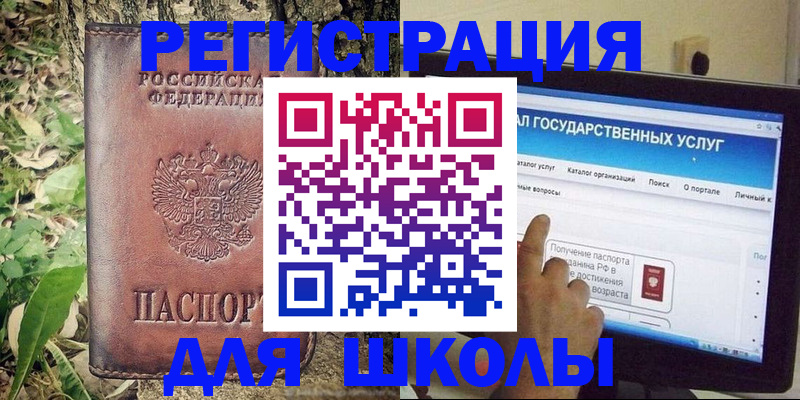 прописка для школы в Волгоградской области